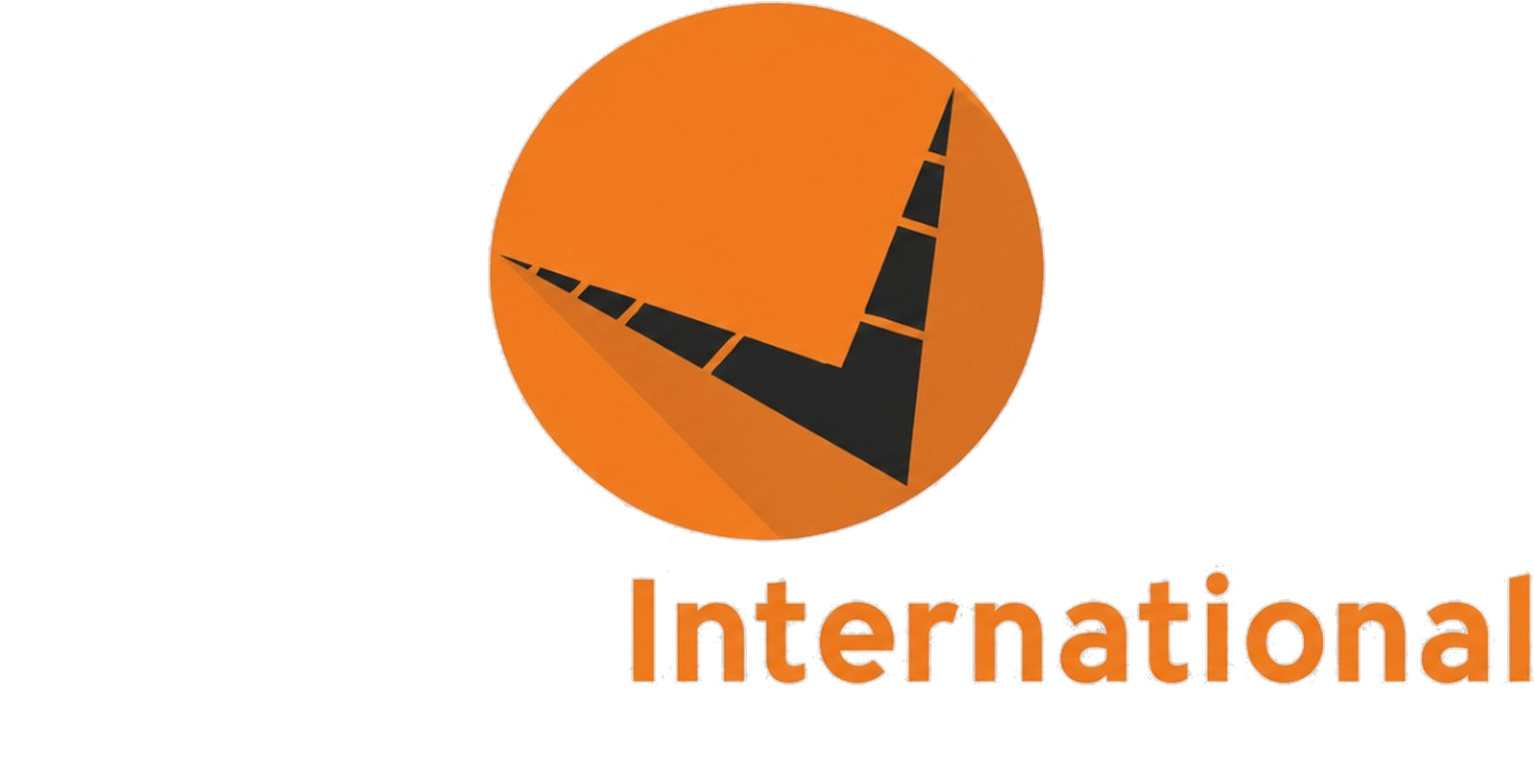 Velocity International